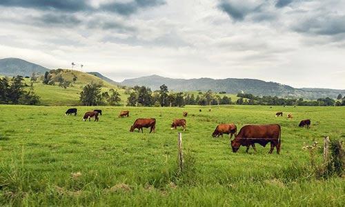 繞絲篩管-農業(yè)過濾
